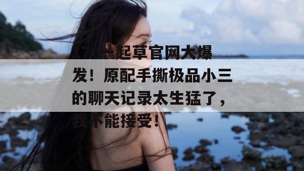 17c一起草官网大爆发！原配手撕极品小三的聊天记录太生猛了，我不能接受！